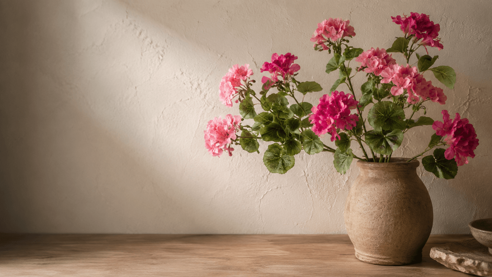 Roze